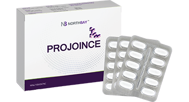NorthBay Projoin