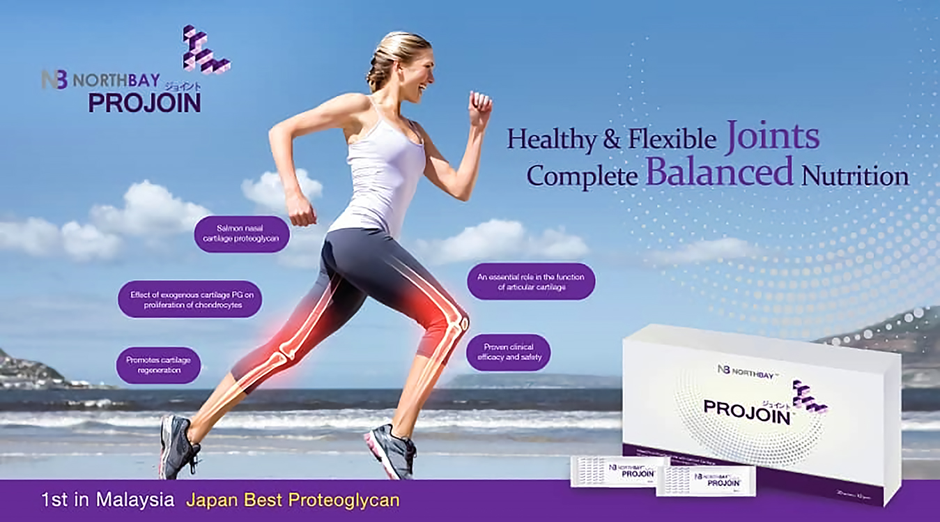 Northbay Projoin banner
